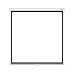 Экран Deluxe DLS-M305W (120"х120"), Ø - 170", Раб. поверхность 297х297 см., 1:1